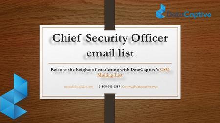 Raise to the heights of marketing with DataCaptive’s CSO Mailing List