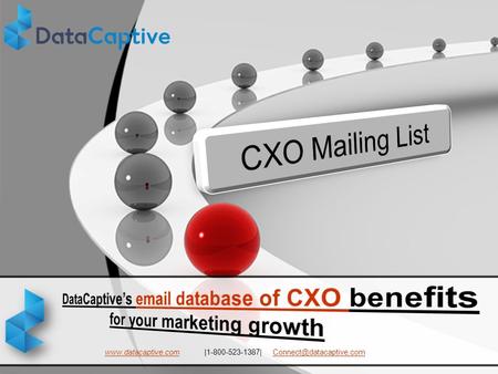 CXO Mailing List