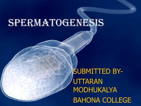 A REVIEW OF SPERMATOGENESIS PROCESS SUBMITTED BY- UTTARAN MODHUKALYA 