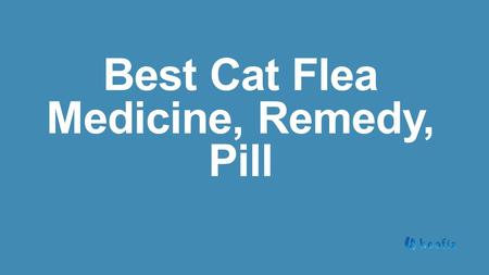 Best Cat Flea Medicine, Remedy, Pill