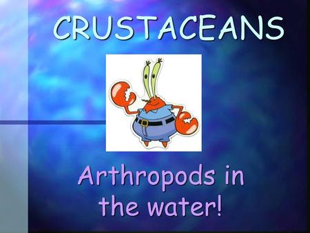 Arthropods in the water!