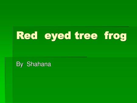 Red eyed tree frog By Shahana.