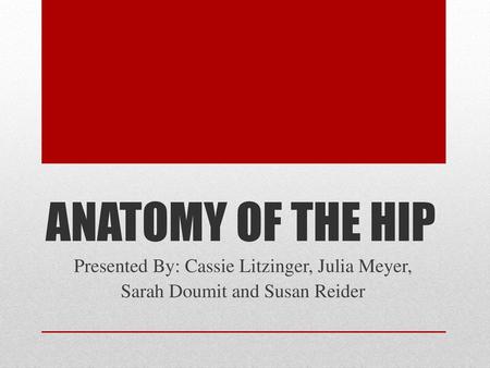 ANATOMY OF THE HIP Presented By: Cassie Litzinger, Julia Meyer,