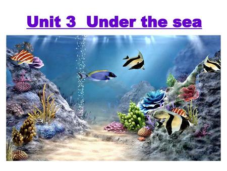 Unit 3 Under the sea.