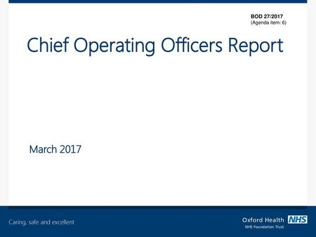 Chief Operating Officers Report