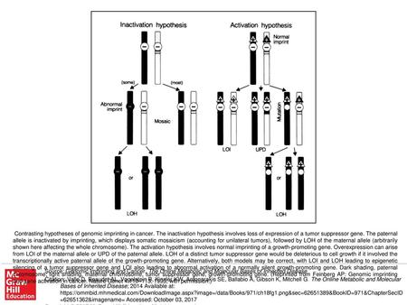 Contrasting hypotheses of genomic imprinting in cancer