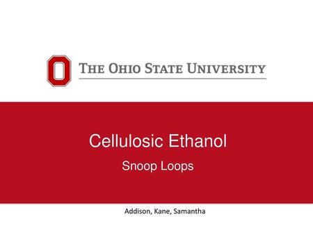 Cellulosic Ethanol Snoop Loops Addison, Kane, Samantha.