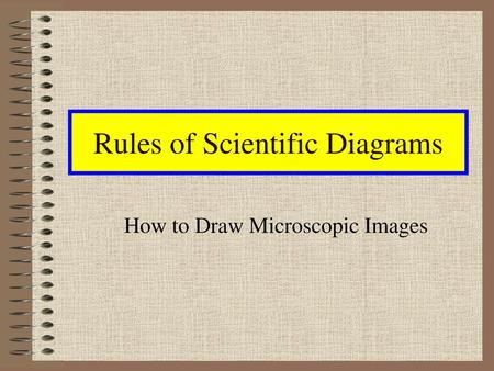 Rules of Scientific Diagrams