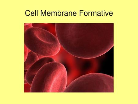 Cell Membrane Formative