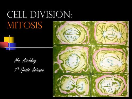 Cell Division: Mitosis