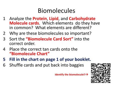 Biomolecules Analyze the Protein, Lipid, and Carbohydrate Molecule cards. Which elements do they have in common? What elements are different? Why are.