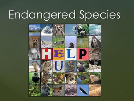 Endangered Species.