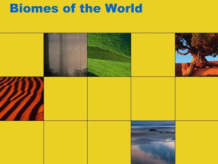 Biomes of the World.