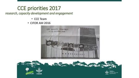 CCE priorities 2017 research, capacity development and engagement