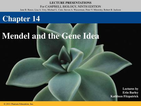 Mendel and the Gene Idea