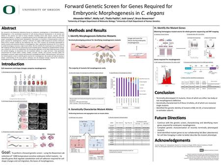 Forward Genetic Screen for Genes Required for Embryonic Morphogenesis in C. elegans Alexander Miller1, Molly Jud1, Thalia Padilla1, Josh Lowry2, Bruce.