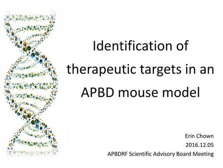 Erin Chown APBDRF Scientific Advisory Board Meeting