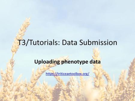 T3/Tutorials: Data Submission