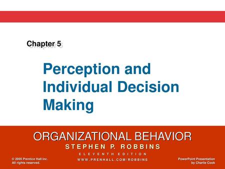 Perception and Individual Decision Making