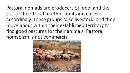 Pastoral nomads are producers of food, and the size of their tribal or ethnic units increases accordingly. These groups raise livestock, and they move.