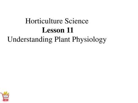 Horticulture Science Lesson 11 Understanding Plant Physiology