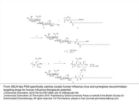 Figure 2. Reaction strategy for the synthesis of 6SLN-lipo PGA