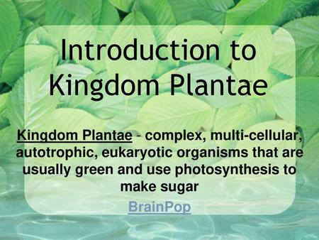 Introduction to Kingdom Plantae