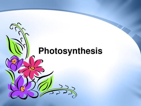 Photosynthesis.