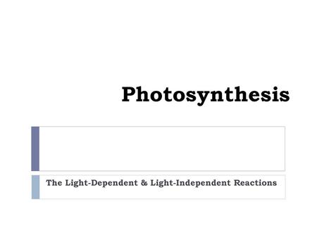 The Light-Dependent & Light-Independent Reactions