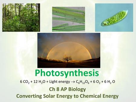 Ch 8 AP Biology Converting Solar Energy to Chemical Energy