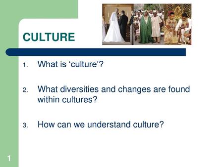 CULTURE What is ‘culture’?