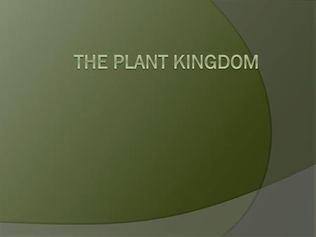 The Plant Kingdom.