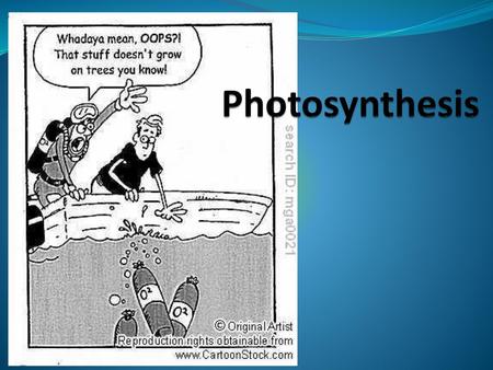 Photosynthesis.