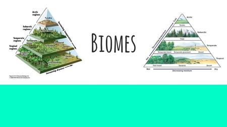 Biomes.