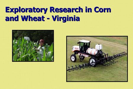 Exploratory Research in Corn