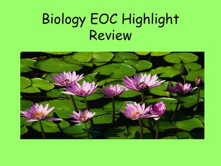 Biology EOC Highlight Review