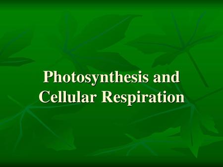 Photosynthesis and Cellular Respiration