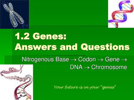 1.2 Genes: Answers and Questions