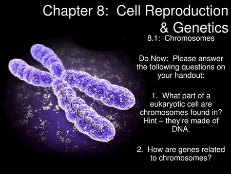 Chapter 8: Cell Reproduction & Genetics