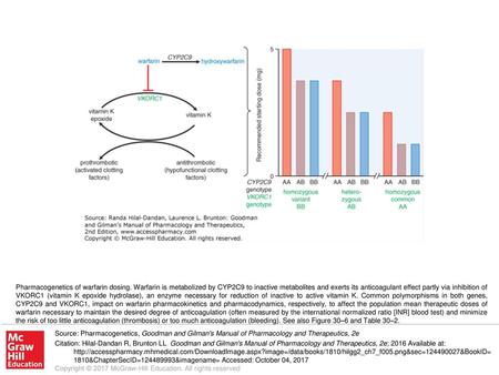 Pharmacogenetics of warfarin dosing