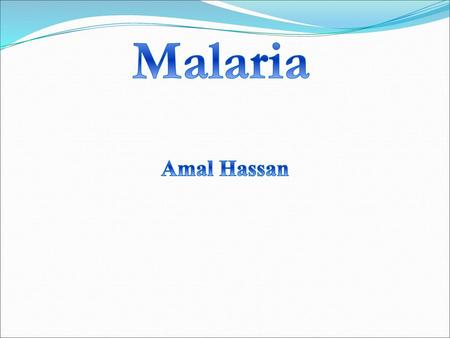 Malaria Amal Hassan.