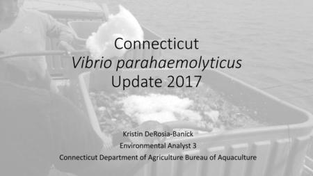 Connecticut Vibrio parahaemolyticus Update 2017