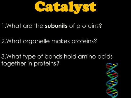 Catalyst What are the subunits of proteins?