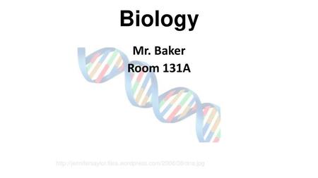 Biology Mr. Baker Room 131A http://jennifersaylor.files.wordpress.com/2006/08/dna.jpg.