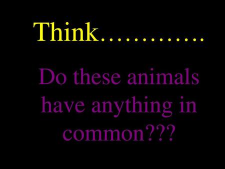 Do these animals have anything in common???