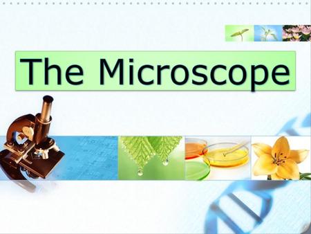 The Microscope.