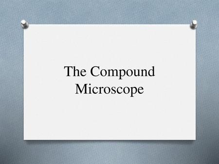 The Compound Microscope