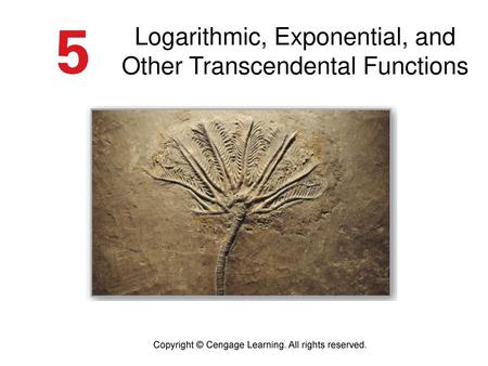 Logarithmic, Exponential, and Other Transcendental Functions