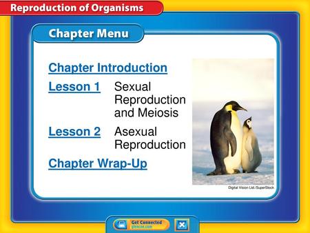 Lesson 1 Sexual Reproduction and Meiosis