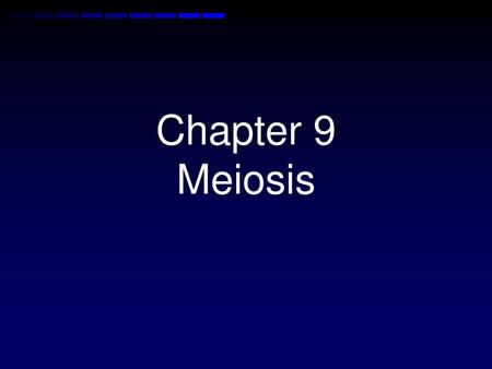 Chapter 9 Meiosis.